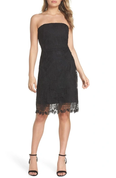 Shop Sam Edelman Strapless Lace Dress In Black