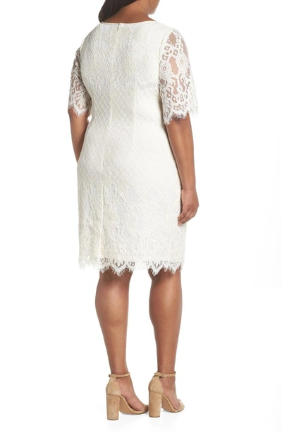 Shop Adrianna Papell Georgia Scalloped Lace Sheath Dress In Ivory