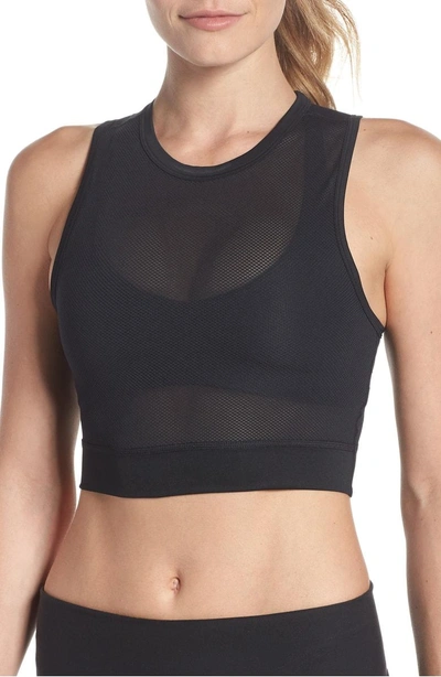 Shop Nike Miler Crop Mesh Running Tank In Black