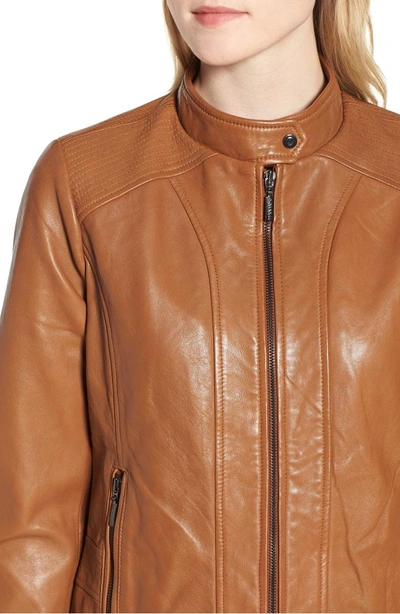 Shop Bernardo Scuba Leather Jacket In Desert