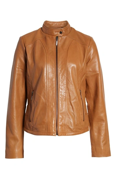 Shop Bernardo Scuba Leather Jacket In Desert