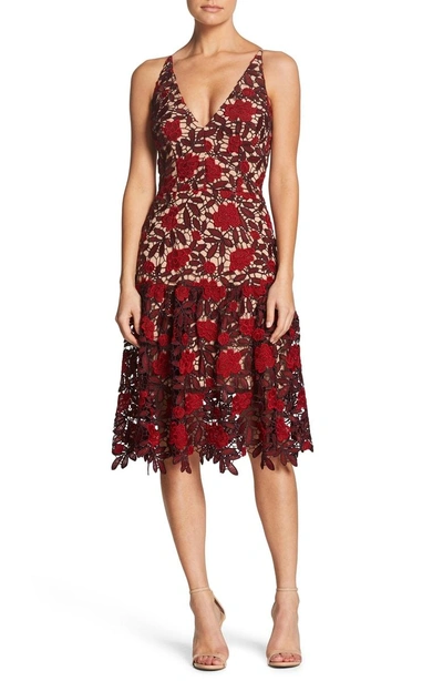 Shop Dress The Population Lily Plunge Lace Fit & Flare Dress In Garnet/ Nude