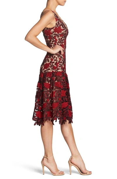 Shop Dress The Population Lily Plunge Lace Fit & Flare Dress In Garnet/ Nude