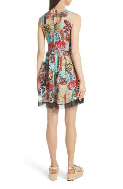 Shop Red Valentino Embroidered Fit & Flare Dress In Multicolor