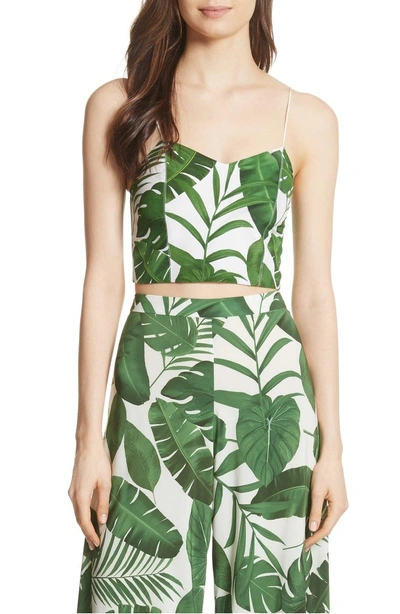 Shop Alice And Olivia Archer Crop Silk Camisole In Tropical Leaves