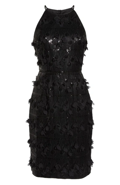 Shop Eliza J 3d Floral & Sequin Cocktail Dress In Black