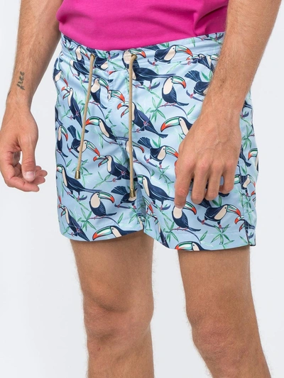 Shop Thorsun Toucan Print Titan Swim Shorts