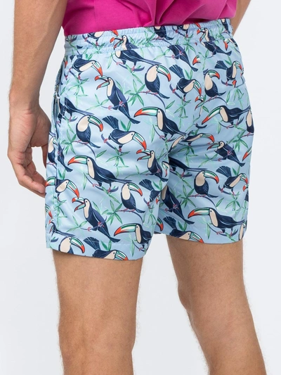 Shop Thorsun Toucan Print Titan Swim Shorts