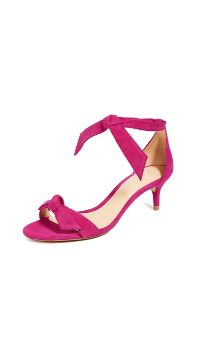 Shop Alexandre Birman Clarita 55mm Sandals In Raspberry