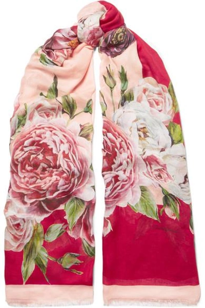 Shop Dolce & Gabbana Floral-print Modal And Cashmere-blend Scarf In Pink