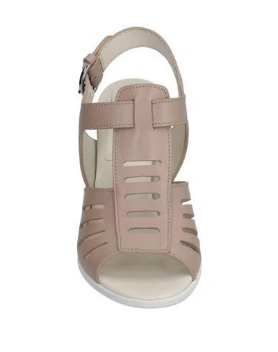 Shop Jil Sander Sandals In Pale Pink