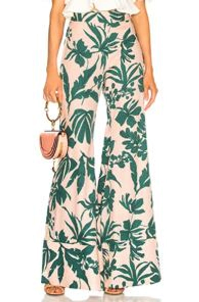 Shop Alexis Dasha Pant In Pink,green,tropical