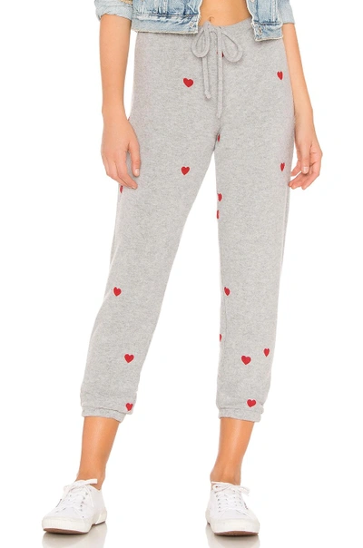 Shop Chaser Love Knit Slouchy Pant In Gray