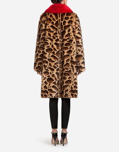 Shop Dolce & Gabbana Faux Fur Coat