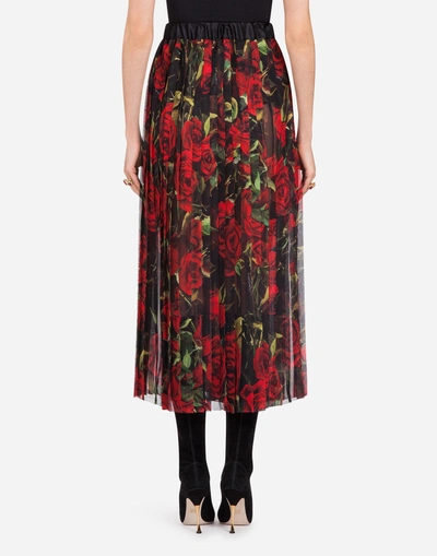 Shop Dolce & Gabbana Plissé Skirt In Floral Print