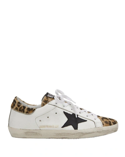 Shop Golden Goose Superstar Leopard Low-top Sneakers In White