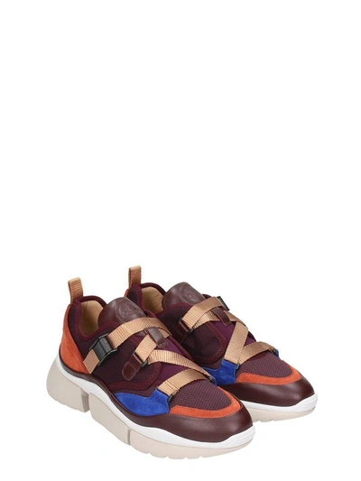 Shop Chloé Sonnie Low Top Sneakers In Viola