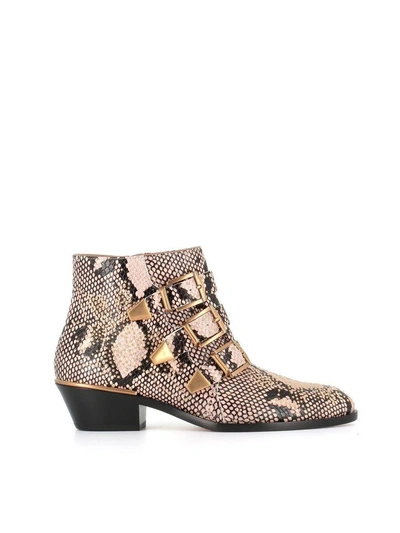 Shop Chloé Texan "susanna" In Python