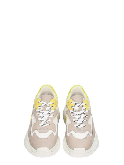 Shop Ash Addict Trainers Grey-white Leather And Mesh Sneakers