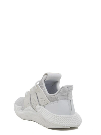 Shop Adidas Originals Prophere W Shoes In White