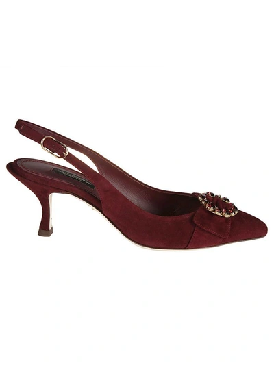 Shop Dolce & Gabbana Bellucci Pumps In Bordeaux