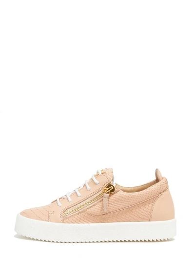 Shop Giuseppe Zanotti 'may' Shoes In Pink