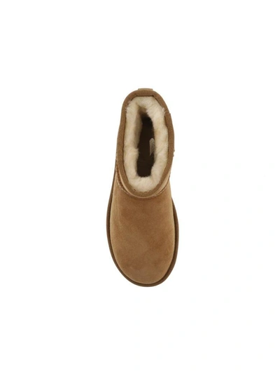 Shop Ugg Mini Classic Boot In Chestnut