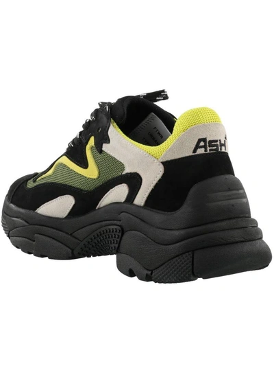 Shop Ash Addict Sneakers In Black Green