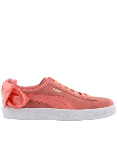 Shop Puma Suede Bow Sneaker In Shell Pink-shell Pink