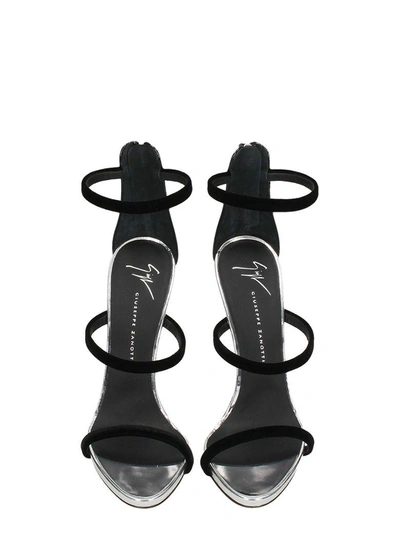 Shop Giuseppe Zanotti Harmony Sandals In Black