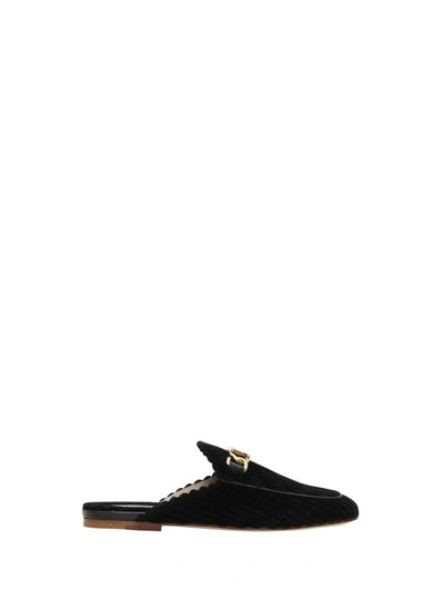 Shop Tod's Velvet Mule In Nero