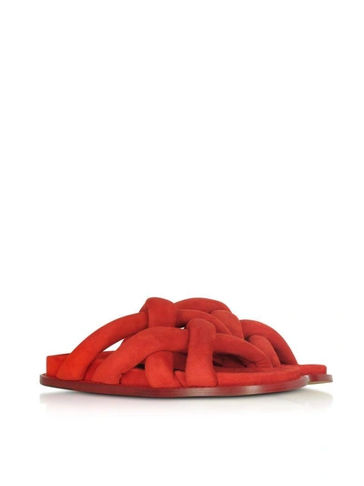 Shop Proenza Schouler Tulip Red Suede Flat Sandals
