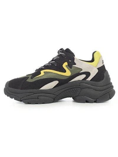 Shop Ash Addict Sneakers In Black Yellow