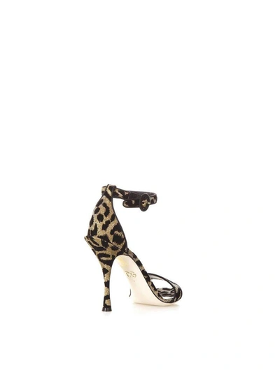 Shop Dolce & Gabbana High Leopard Keira Sandals In Black/gold