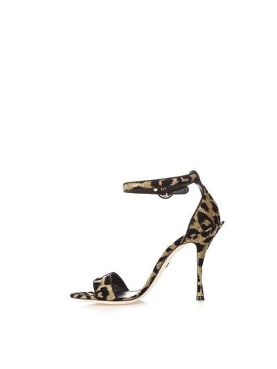 Shop Dolce & Gabbana High Leopard Keira Sandals In Black/gold