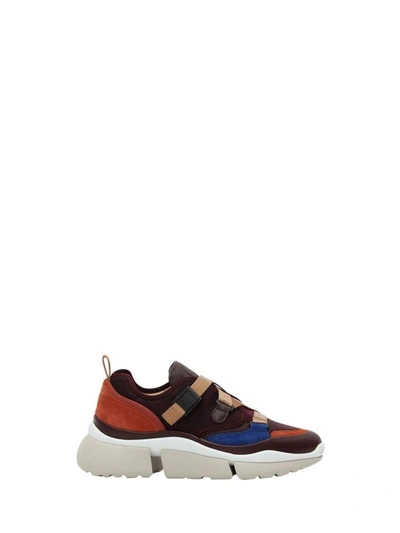 Shop Chloé Low-top Sonnie Sneaker In Viola