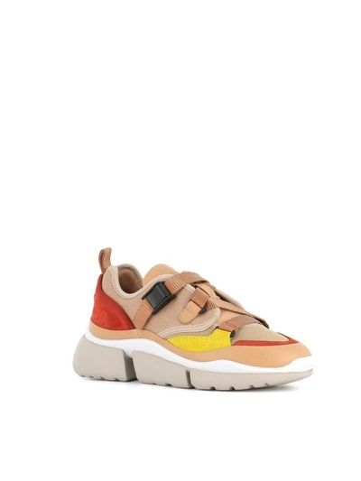 Shop Chloé Sneakers Low Sonnie In Multicolored