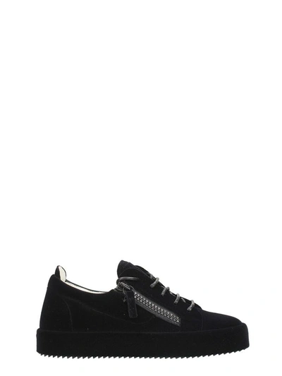 Shop Giuseppe Zanotti Black Velvet Low Sneakers