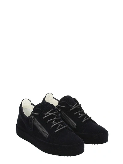 Shop Giuseppe Zanotti Black Velvet Low Sneakers