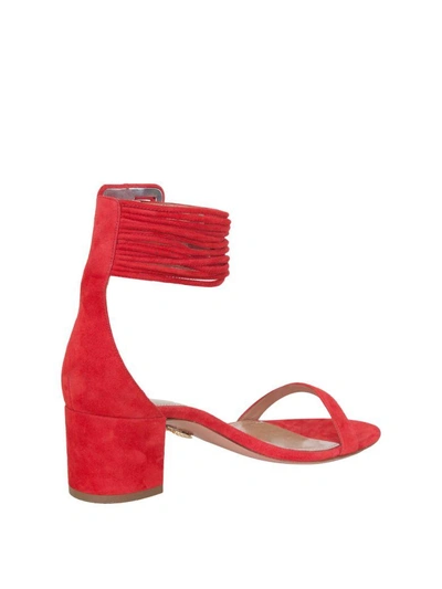 Shop Aquazzura Casablanca Suede Sandals In Rosso