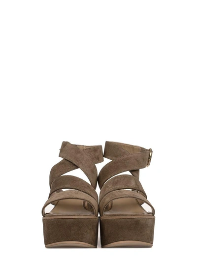 Shop Fabio Rusconi Taupe Suede Wedge Sandal In Neutral