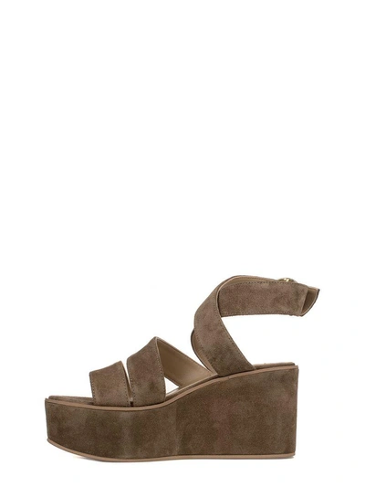 Shop Fabio Rusconi Taupe Suede Wedge Sandal In Neutral