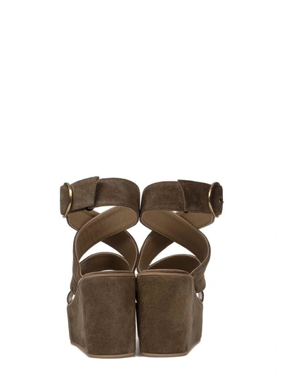 Shop Fabio Rusconi Taupe Suede Wedge Sandal In Neutral