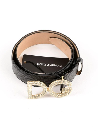 Shop Dolce & Gabbana St. Iguana Belt In Nero