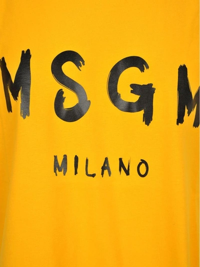 Shop Msgm Tshirt Classic In Giallo