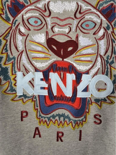 Shop Kenzo Fleece Tiger Multicolor In Grey