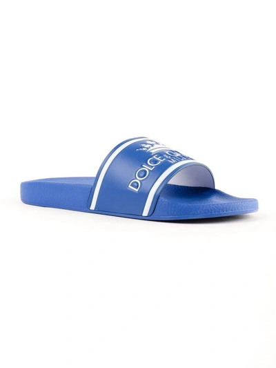 Shop Dolce & Gabbana Front Logo Slippers In Bluette