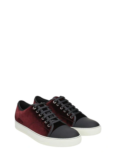 Lanvin Men's Velvet Cap-toe Low-top Sneakers In Bordeaux
