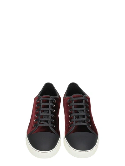 Lanvin Men's Velvet Cap-toe Low-top Sneakers In Bordeaux