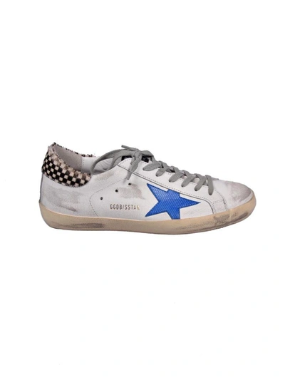 Shop Golden Goose Sneakers Superstar In White Crack-check-lizard Print